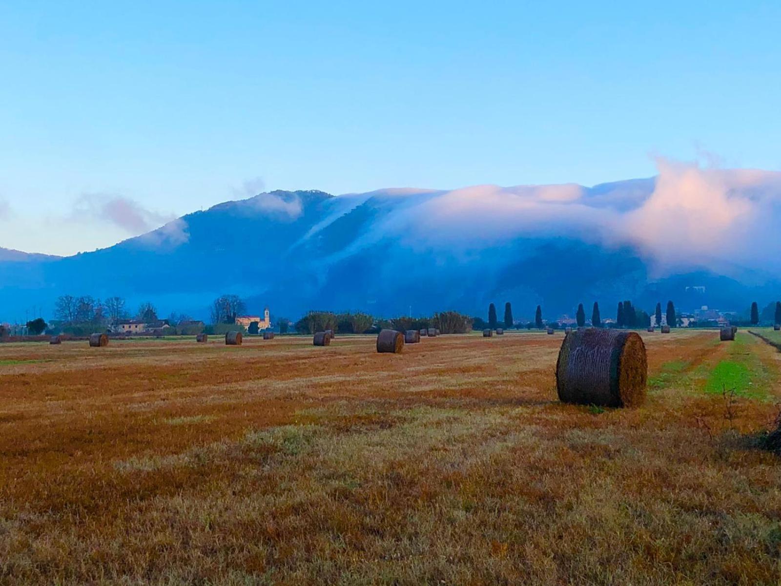 Intero Alloggio Campagna Lucca Capannori Buitenkant foto